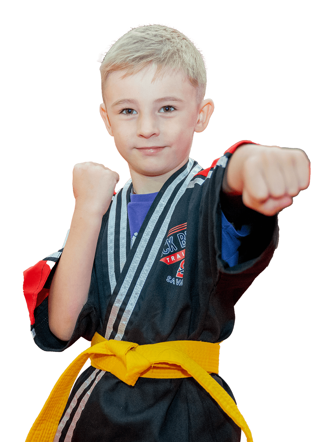 Savage Martial Arts Fun martial arts training for children & all age