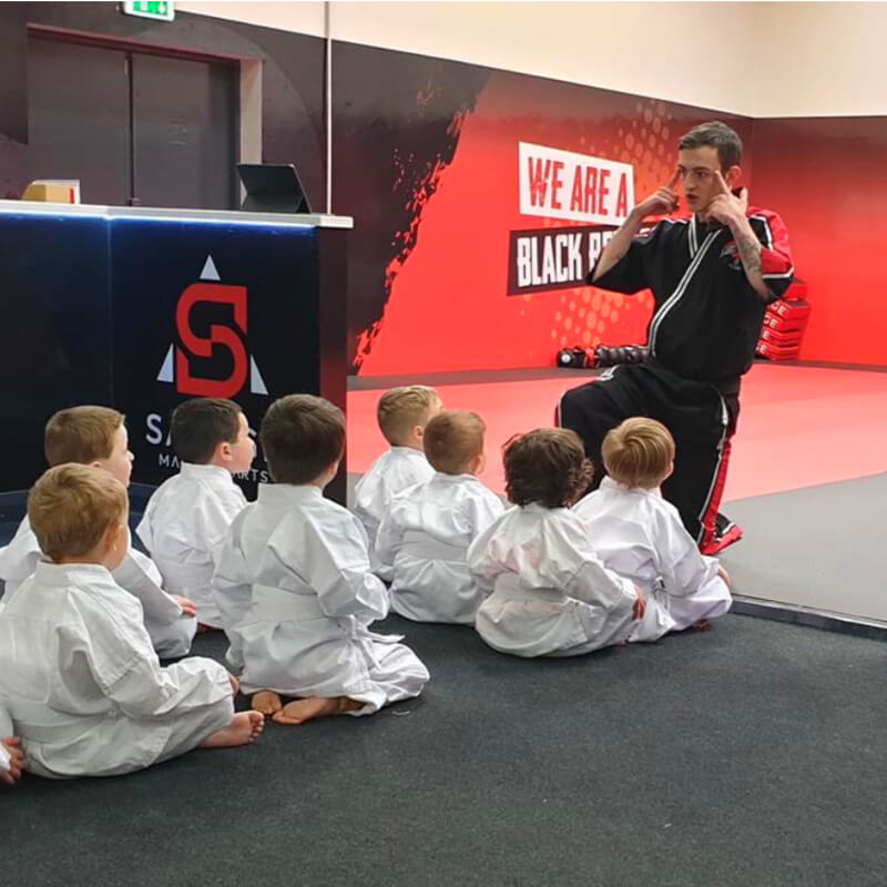 Savage Martial Arts - Fun martial arts training for children & all age