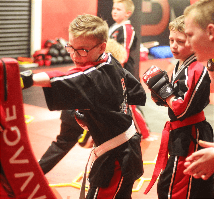Savage Martial Arts Fun martial arts training for children & all age